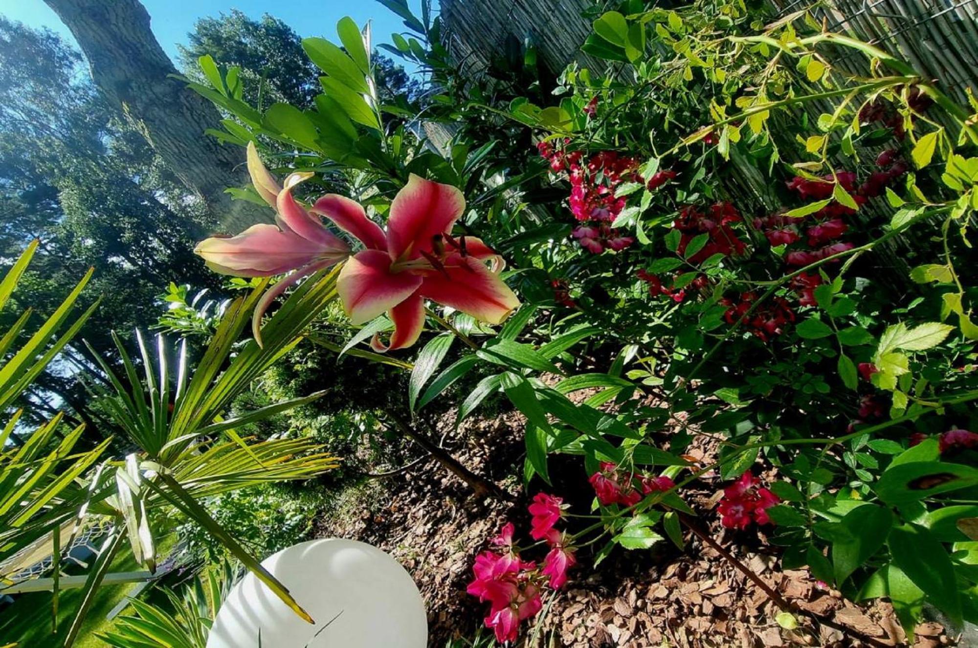 Majestique Otel Pobierowo Dış mekan fotoğraf